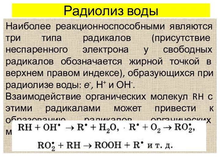 Радиолиз воды Наиболее реакционноспособными являются три типа радикалов (присутствие неспаренного электрона