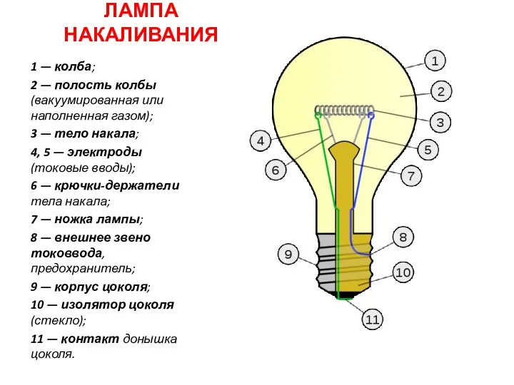 ЛАМПА НАКАЛИВАНИЯ 1 — колба; 2 — полость колбы (вакуумированная или