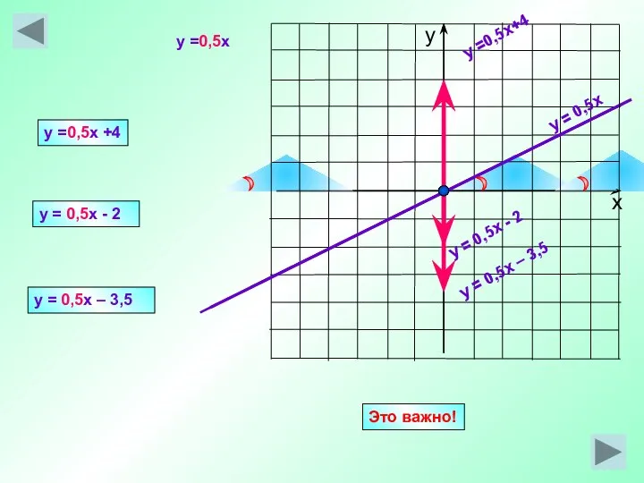 y = 0,5x y =0,5x+4 y = 0,5x - 2 y