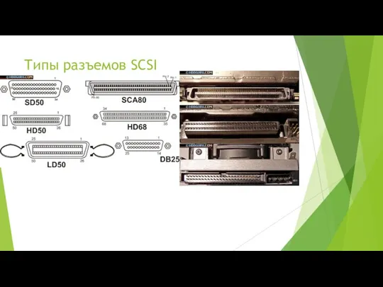 Типы разъемов SCSI