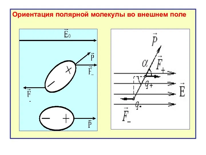 Ориентация полярной молекулы во внешнем поле