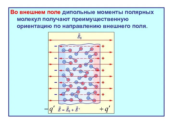 Во внешнем поле дипольные моменты полярных молекул получают преимущественную ориентацию по направлению внешнего поля.