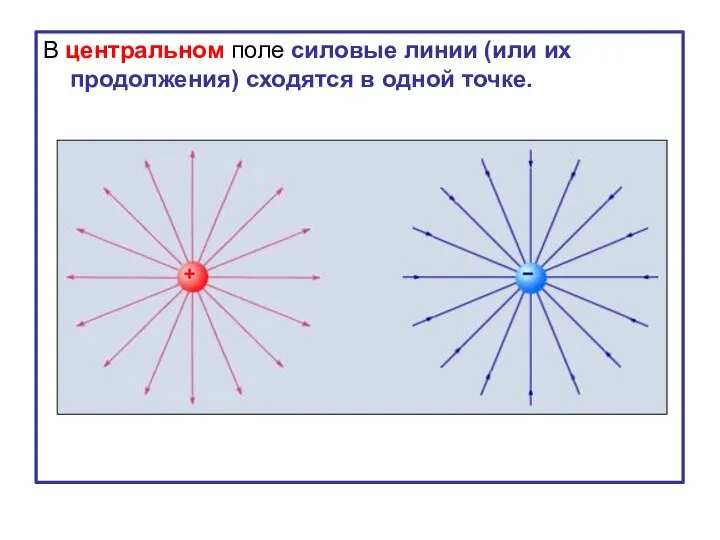 В центральном поле силовые линии (или их продолжения) сходятся в одной точке.