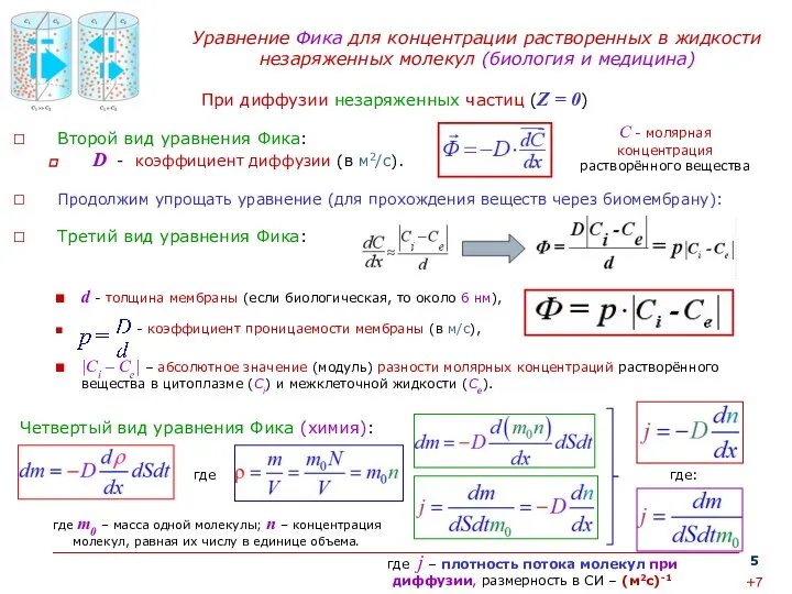 Уравнение Фика для концентрации растворенных в жидкости незаряженных молекул (биология и