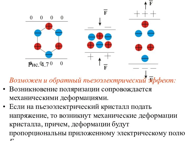 Рис. 4.7 Возможен и обратный пьезоэлектрический эффект: Возникновение поляризации сопровождается механическими