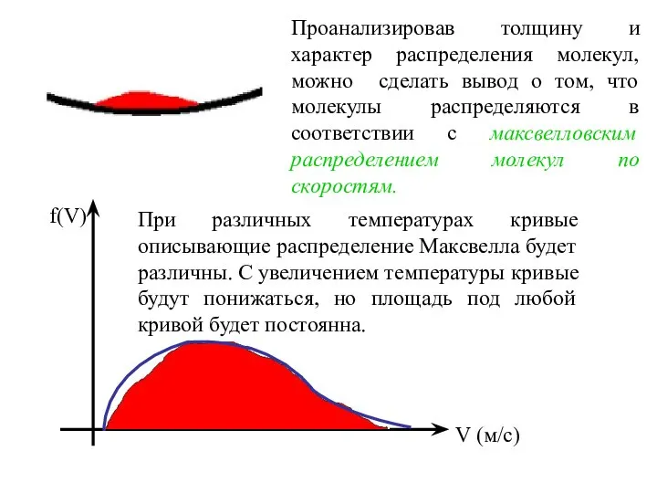 Проанализировав толщину и характер распределения молекул, можно сделать вывод о том,