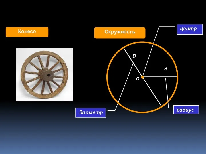 диаметр Окружность Колесо центр R D O радиус