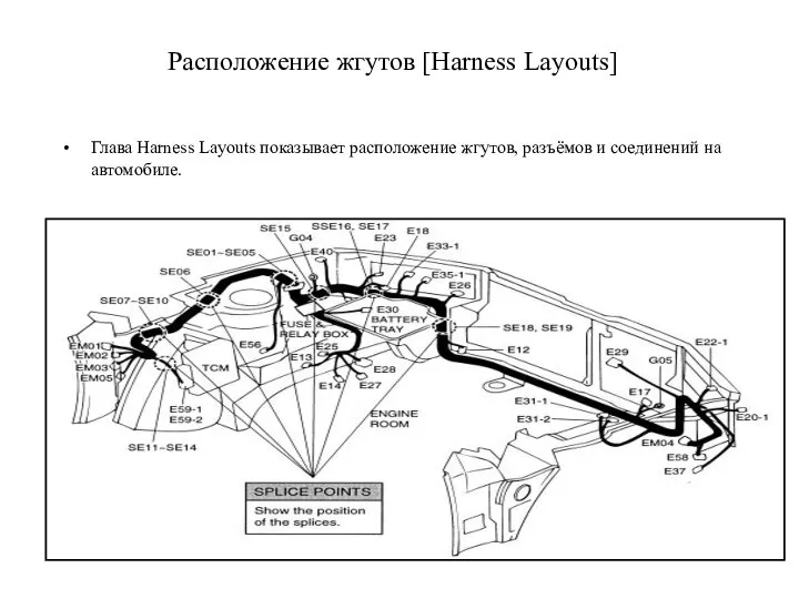 Расположение жгутов [Harness Layouts] Глава Harness Layouts показывает расположение жгутов, разъёмов и соединений на автомобиле.