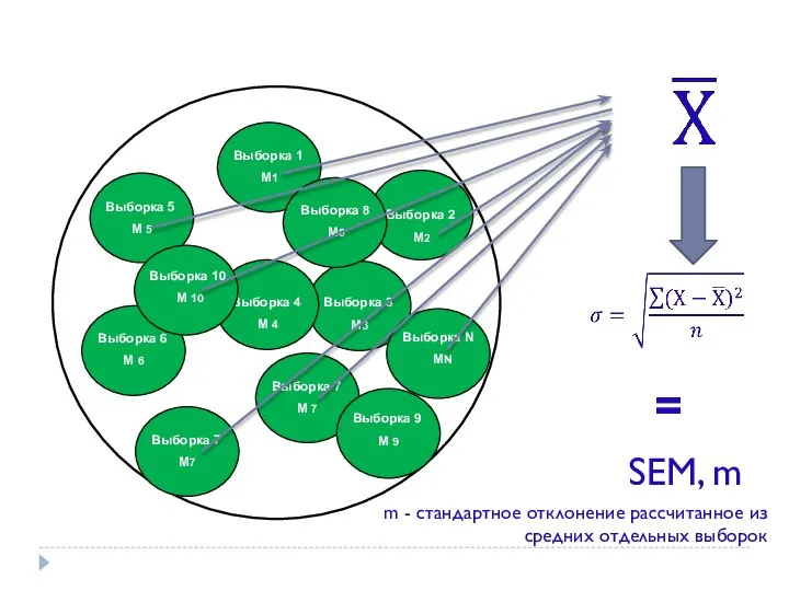 Выборка 1 М1 выборка Выборочные исследования Выборка 2 М2 Выборка 3