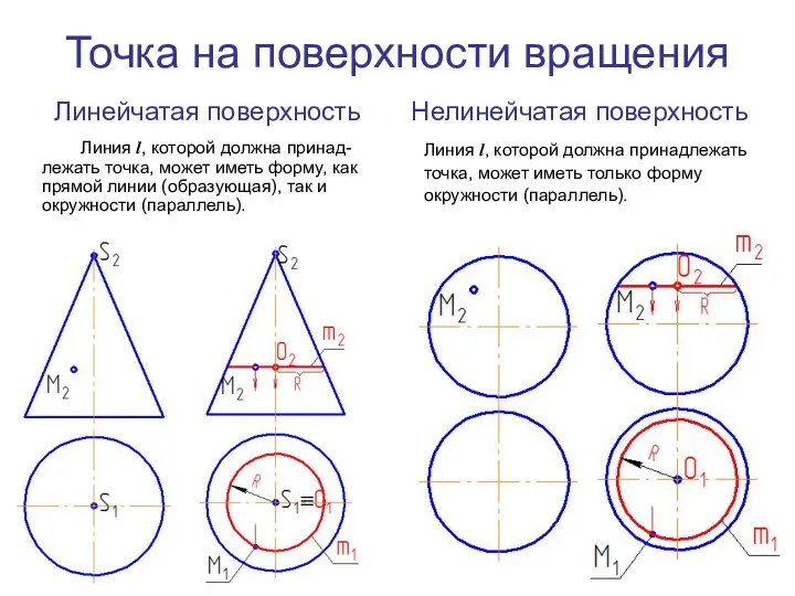 Точка на поверхности вращения Линия l, которой должна принад-лежать точка, может