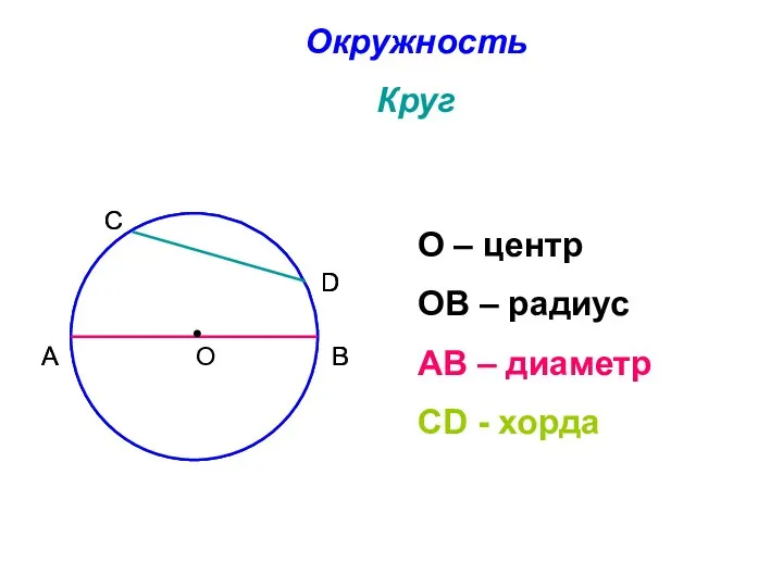 Окружность Круг О – центр ОВ – радиус АВ – диаметр СD - хорда