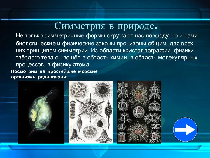 Симметрия в природе. Не только симметричные формы окружают нас повсюду, но