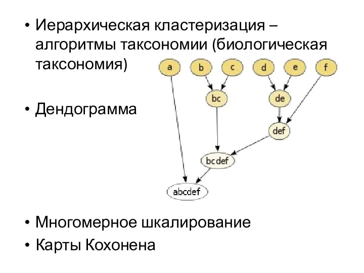 Иерархическая кластеризация – алгоритмы таксономии (биологическая таксономия) Дендограмма Многомерное шкалирование Карты Кохонена