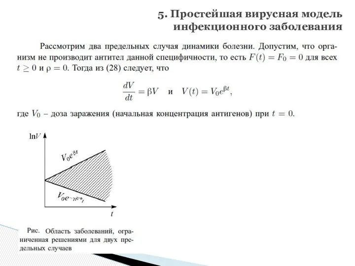 5. Простейшая вирусная модель инфекционного заболевания