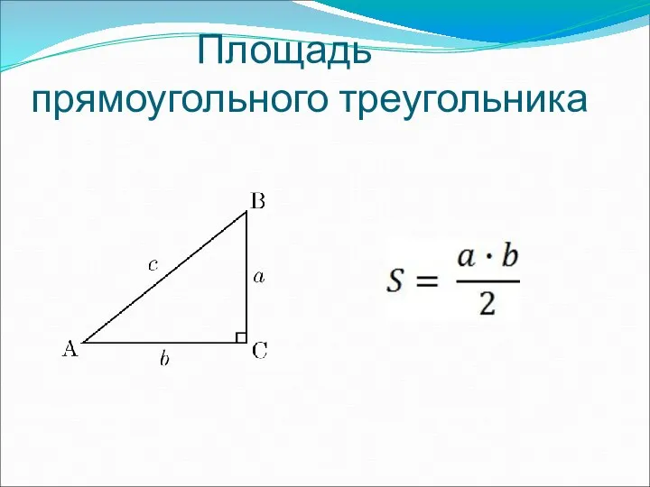 Площадь прямоугольного треугольника