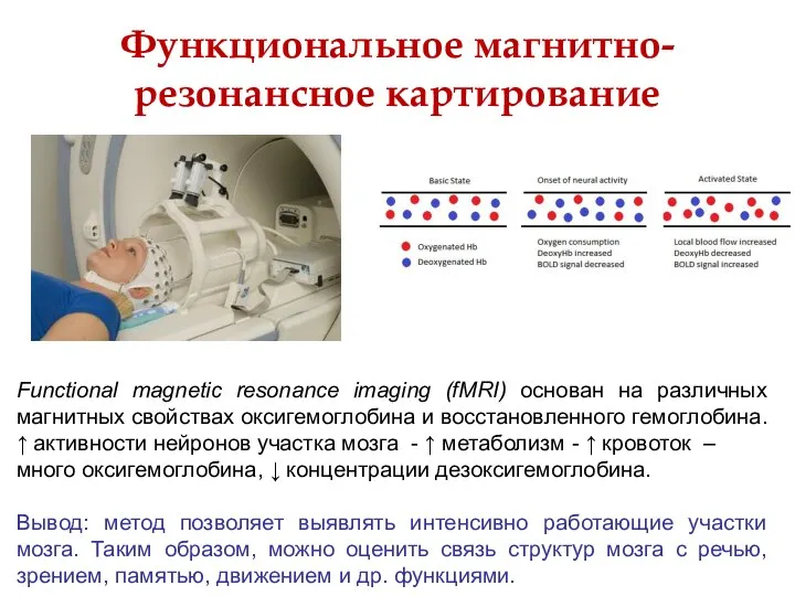 Функциональное магнитно-резонансное картирование Functional magnetic resonance imaging (fMRI) основан на различных
