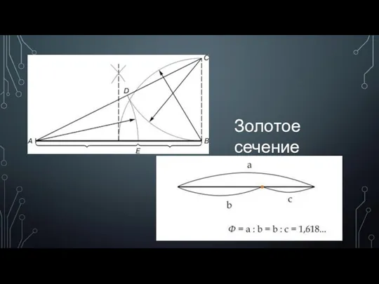 Золотое сечение