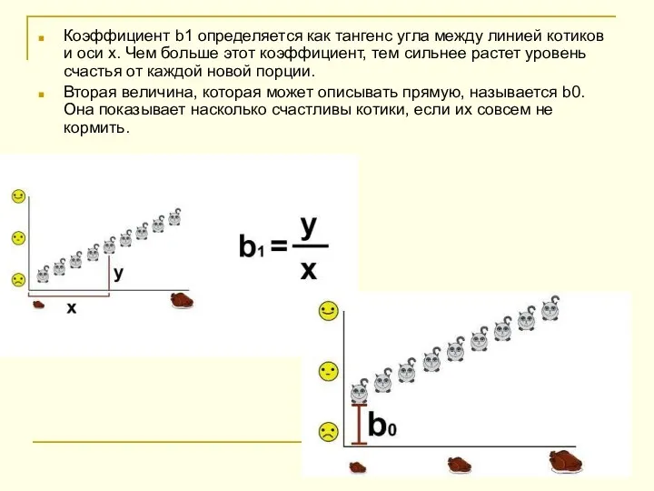 Коэффициент b1 определяется как тангенс угла между линией котиков и оси