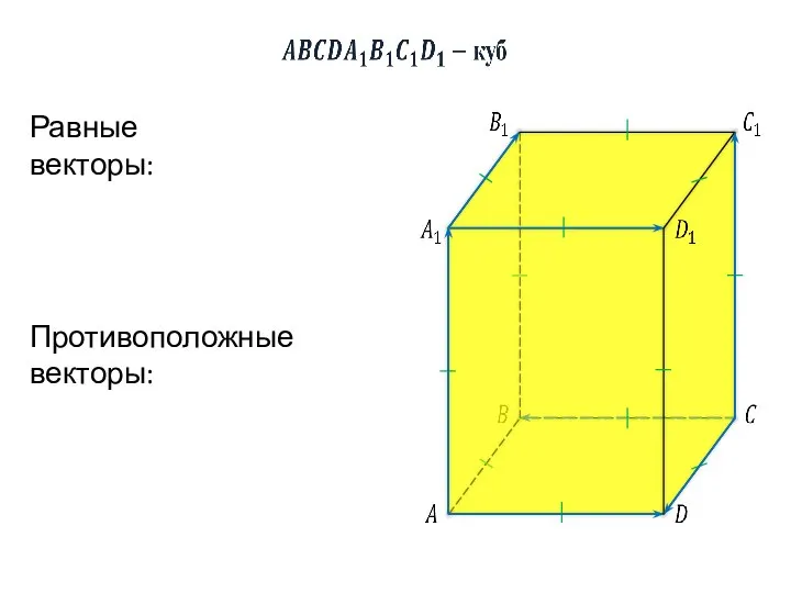 Равные векторы: Противоположные векторы: