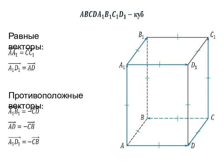 Равные векторы: Противоположные векторы: