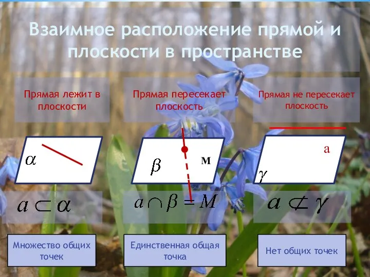 Взаимное расположение прямой и плоскости в пространстве Прямая лежит в плоскости