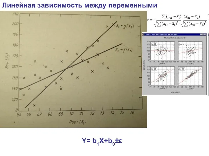 Линейная зависимость между переменными Y= b1X+b0±ε