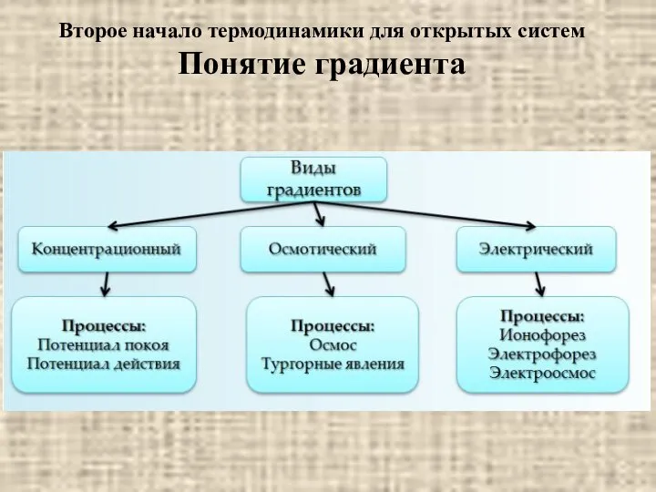 Второе начало термодинамики для открытых систем Понятие градиента