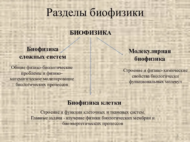 Разделы биофизики Биофизика сложных систем Общие физико-биологические проблемы и физико-математическое моделирование