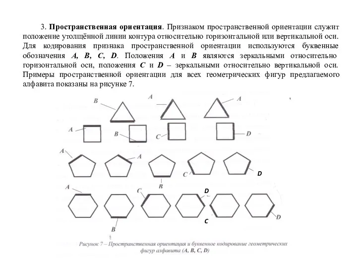 3. Пространственная ориентация. Признаком пространственной ориентации служит положение утолщённой линии контура