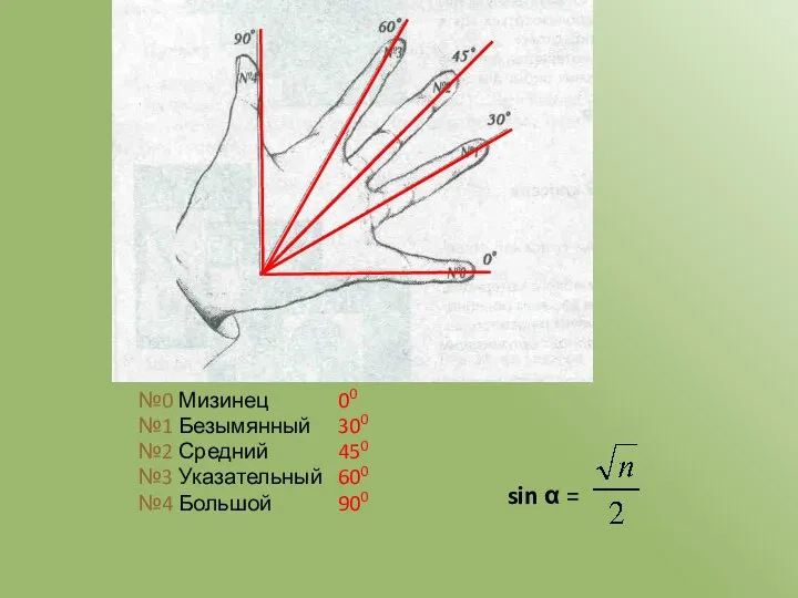 №0 Мизинец 00 №1 Безымянный 300 №2 Средний 450 №3 Указательный 600 №4 Большой 900