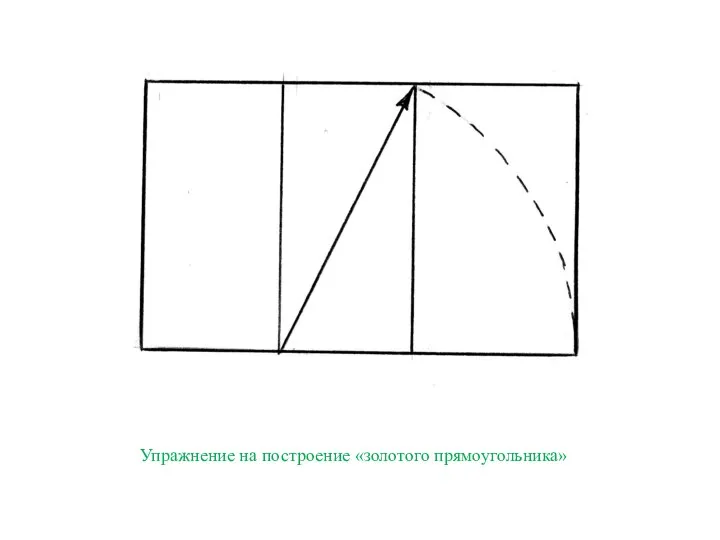 Упражнение на построение «золотого прямоугольника»