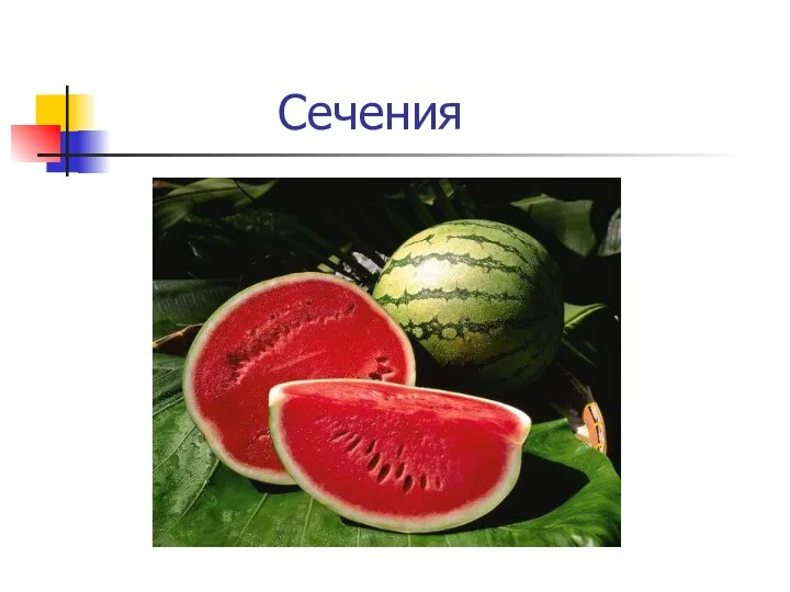 Сечения