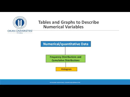 Numerical/quantitative Data Histogram Frequency Distributions and Cumulative Distributions Tables and Graphs