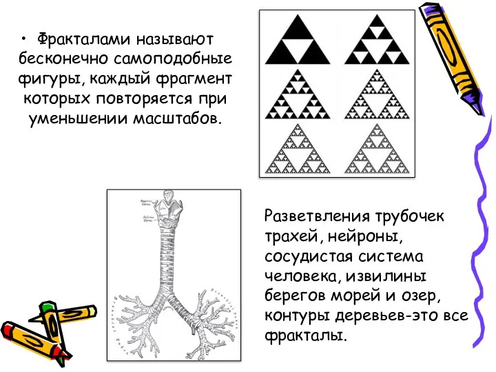 Фракталами называют бесконечно самоподобные фигуры, каждый фрагмент которых повторяется при уменьшении