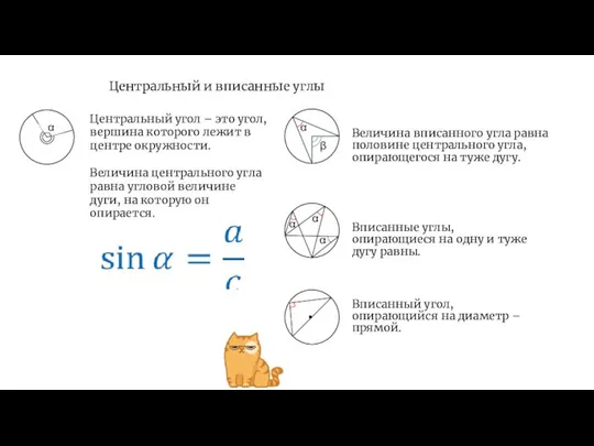 Центральный и вписанные углы Вписанные углы, опирающиеся на одну и туже