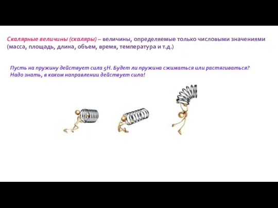 Скалярные величины (скаляры) – величины, определяемые только числовыми значениями (масса, площадь,