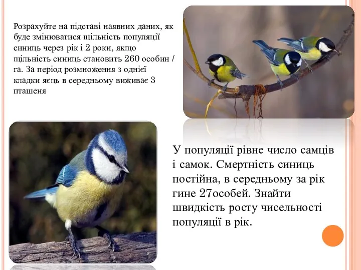 У популяції рівне число самців і самок. Смертність синиць постійна, в