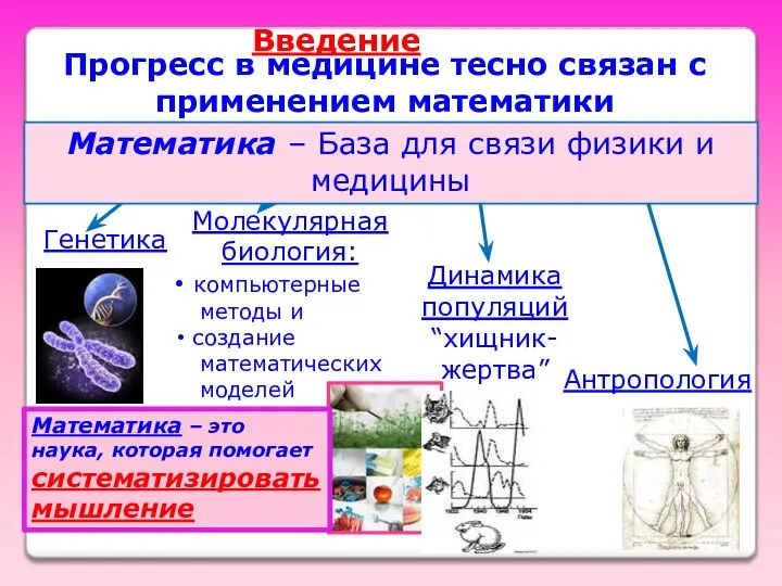 Прогресс в медицине тесно связан с применением математики Генетика Молекулярная биология: