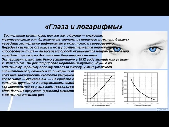 «Глаза и логарифмы» Зрительные рецепторы, так же, как и другие —
