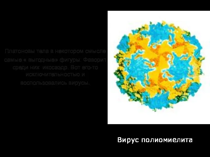 Платоновы тела в некотором смысле самые « выгодные» фигуры. Фаворит среди