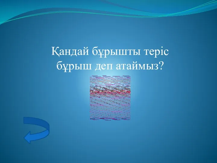 Қандай бұрышты теріс бұрыш деп атаймыз?