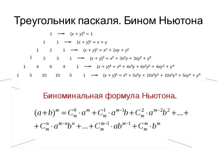 Треугольник паскаля. Бином Ньютона