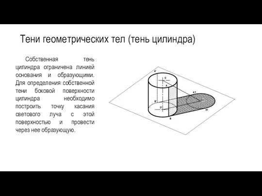 Тени геометрических тел (тень цилиндра) Собственная тень цилиндра ограничена линией основания