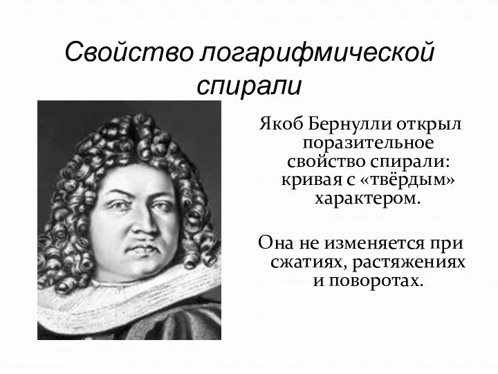 Свойство логарифмической спирали Якоб Бернулли открыл поразительное свойство спирали: кривая с