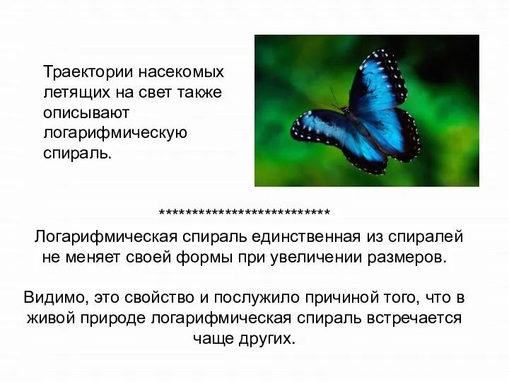 Траектории насекомых летящих на свет также описывают логарифмическую спираль. ************************** Логарифмическая