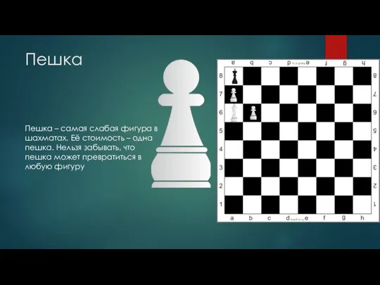 Пешка Пешка – самая слабая фигура в шахматах. Её стоимость –