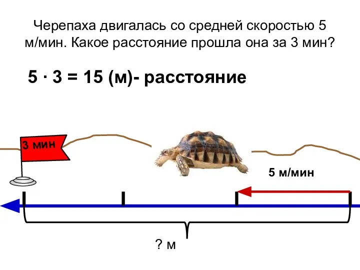 Черепаха двигалась со средней скоростью 5 м/мин. Какое расстояние прошла она