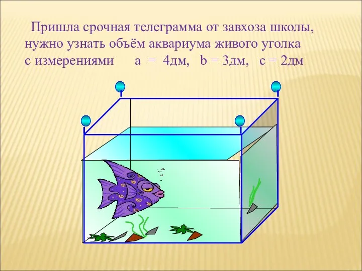 Пришла срочная телеграмма от завхоза школы, нужно узнать объём аквариума живого