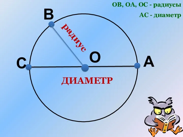 О А ОВ, ОА, ОС - радиусы АС - диаметр радиус С В ДИАМЕТР