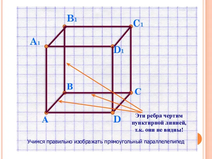 А D1 B1 В A1 D С C1 Эти ребра чертим